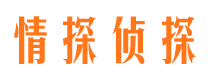 柯城市侦探公司